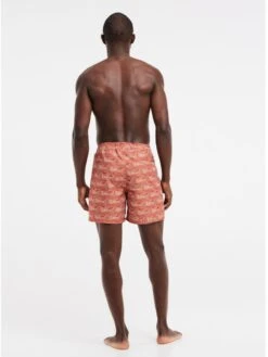 Protest PRTTERTON BEACHSHORT 10683397 -Kleiderliebe Laden 2711931 368 model back full 01 web