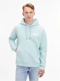 Calvin Klein Kapuzensweatshirt 10684585